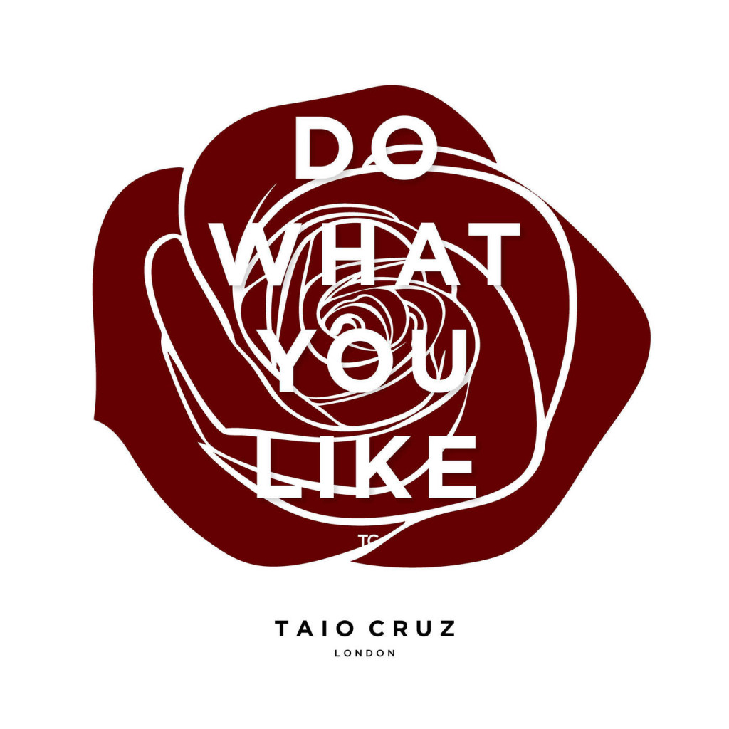 Taio Cruz – Do What You Like