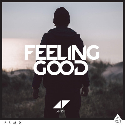 Avicii – Feeling Good