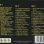 Puzzletron 4 Boy Records 1996