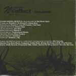 Chasis - Natural Effect 2001 Vale Music