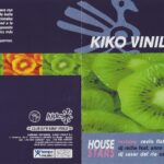 Kiko Vinilo All Stars 1999 Kidesol Records